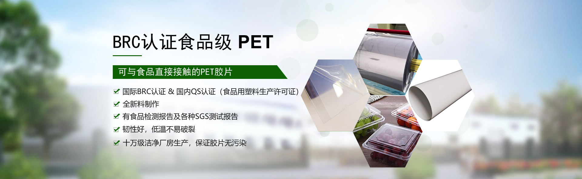 食品级PET胶片
